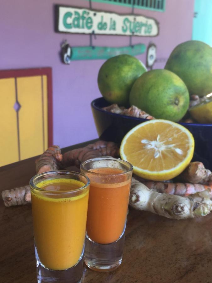 Cafe De La Suerte Villa Pavones  Eksteriør bilde